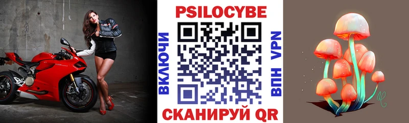 Псилоцибиновые грибы Cubensis  Верхнеуральск 